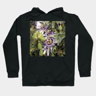 Passionfruit Flowers Hoodie